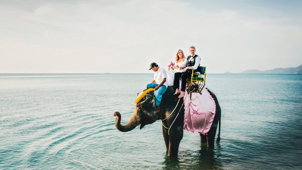 bride & groom on elephant in Thailand