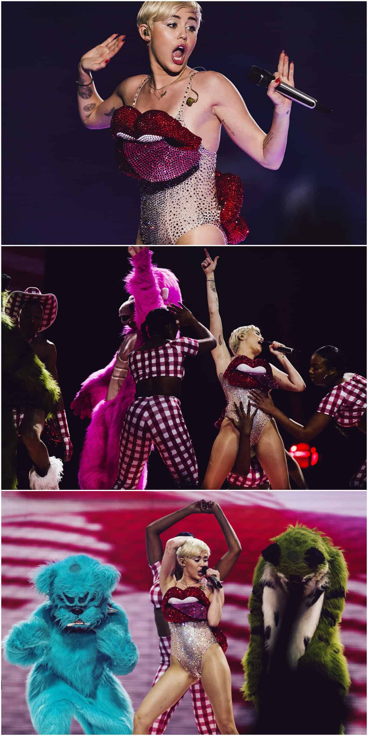 Steve Gerrard Photography