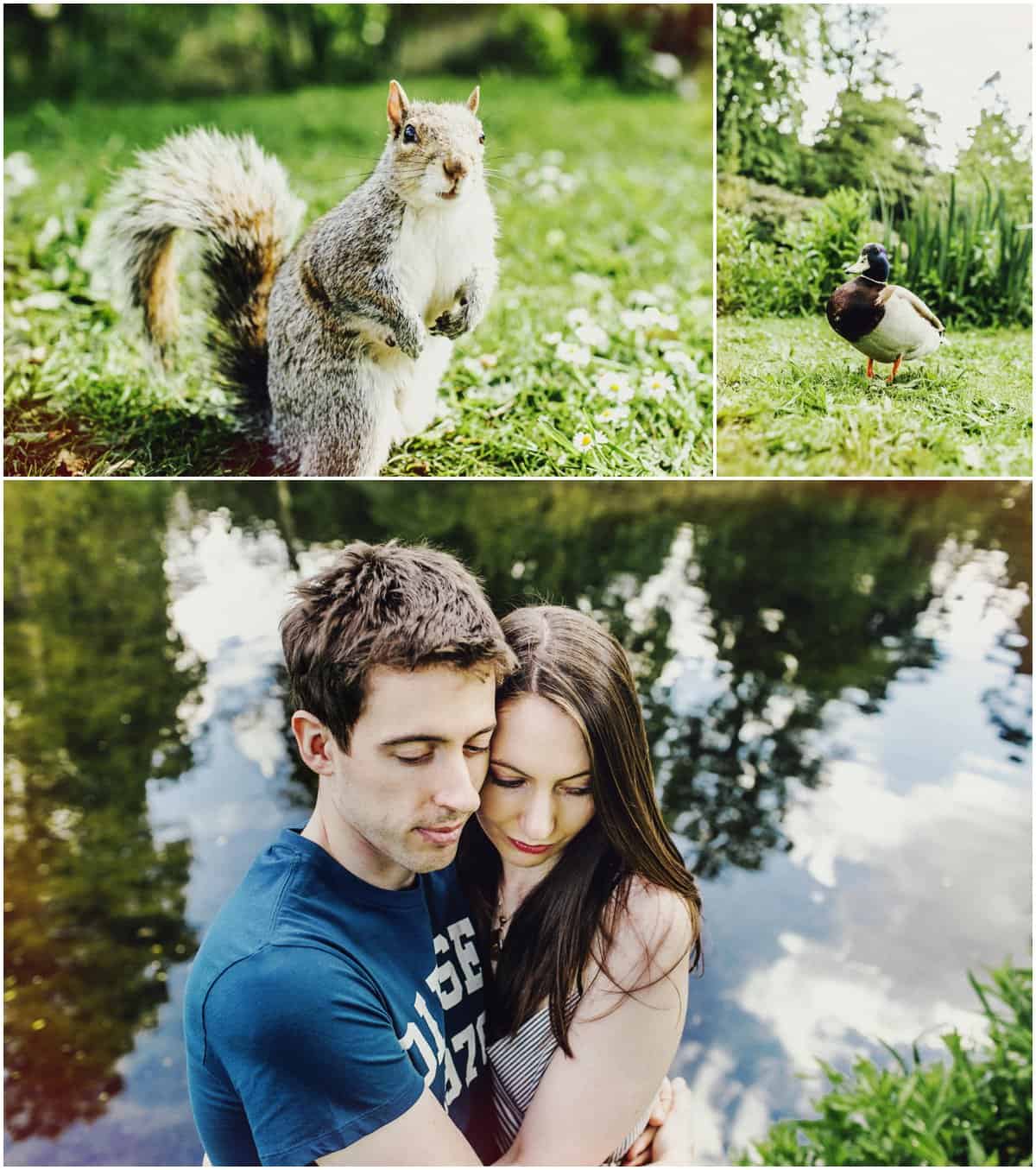 Steve Gerrard Photography