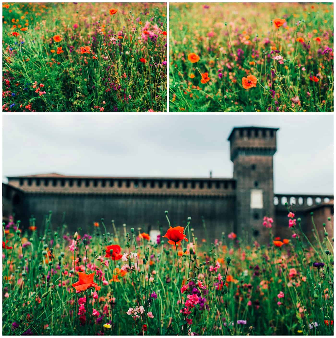 milan-milano-italy_080