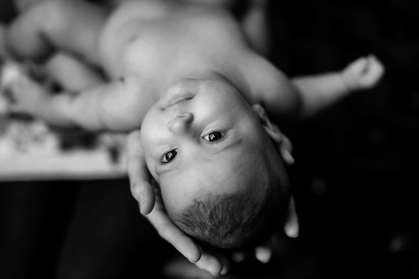 Newborn portrait in black & white