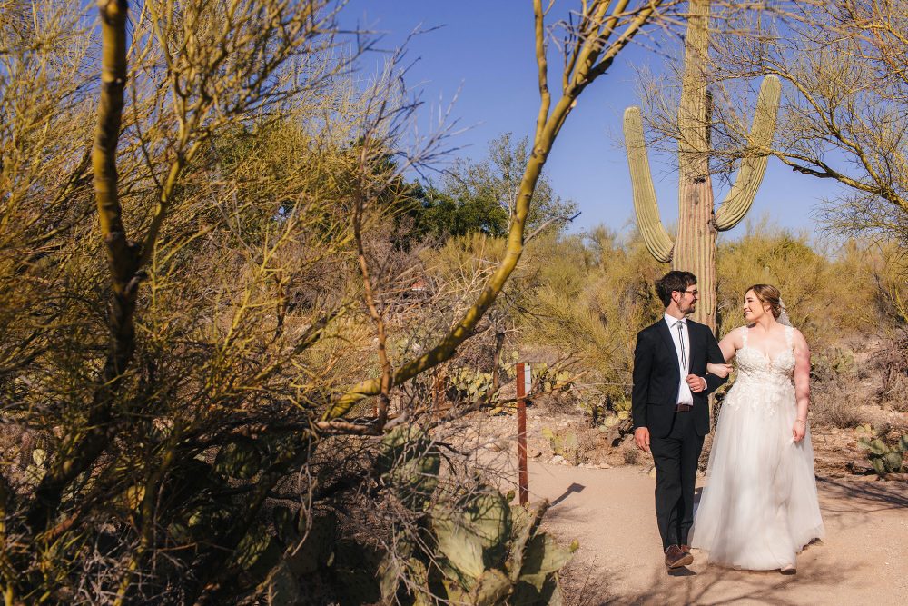Couple walking between cacti during their wedding in Tuczon, Arizona